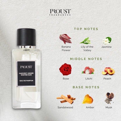 Discovery Set- Create Your Own Fragrance Box !